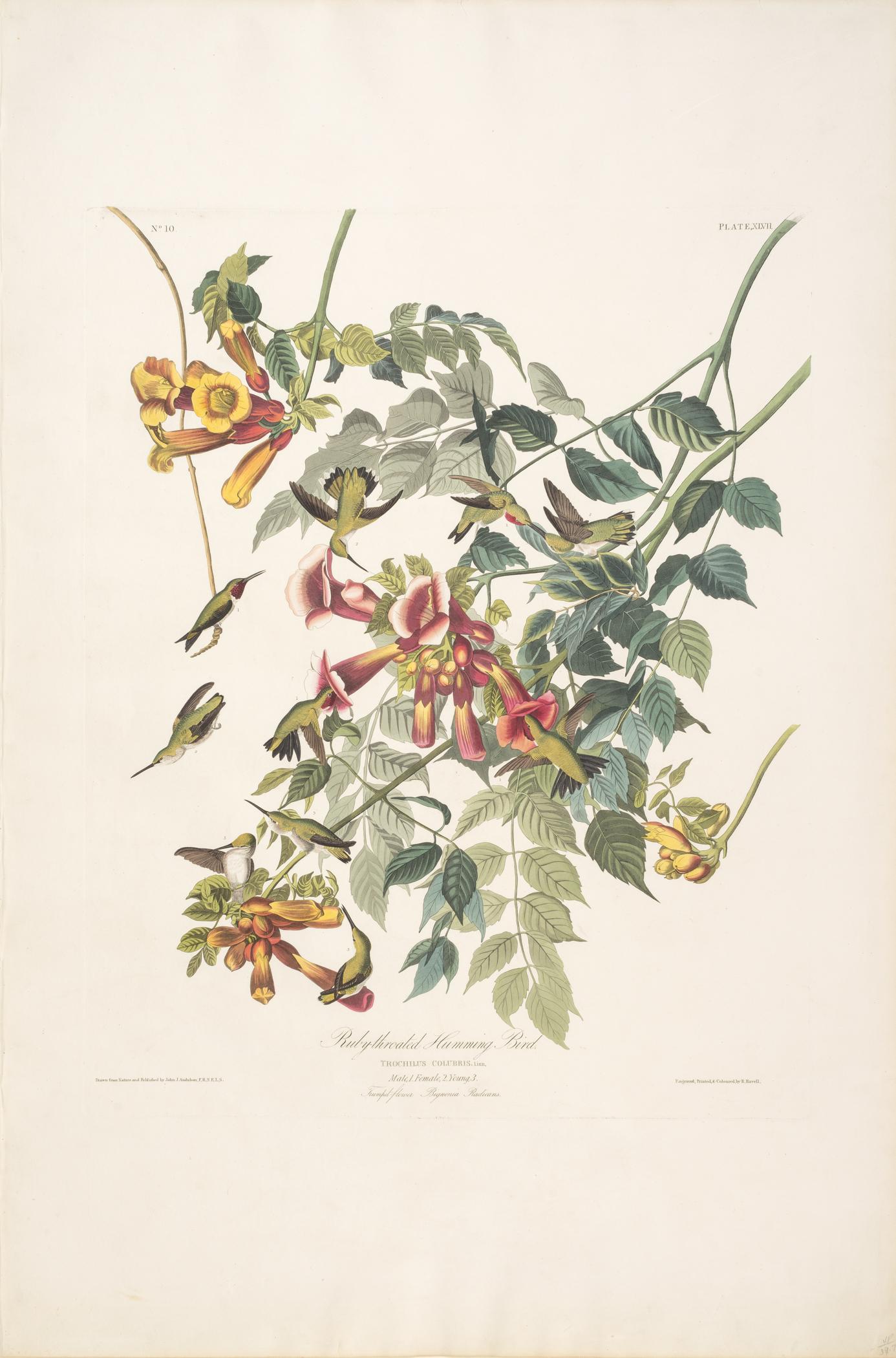 1959.0162.028 Print, view 1