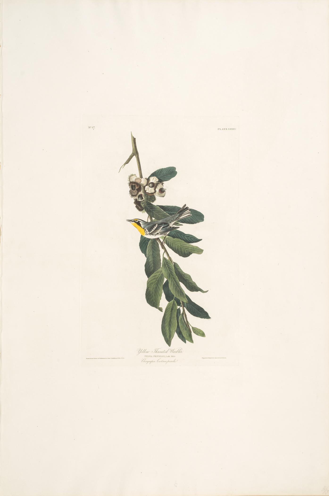 1959.0162.045 Print, view 1