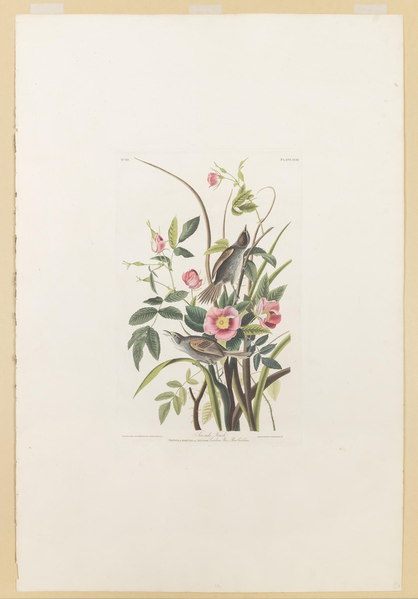 1959.0162.050 Print, view 1