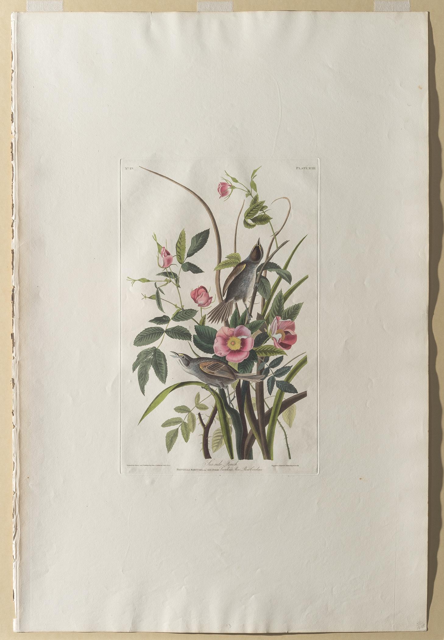 1959.0162.050 Print, view 2, raking light