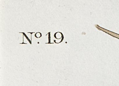 1959.0162.050 Print, Detail 9