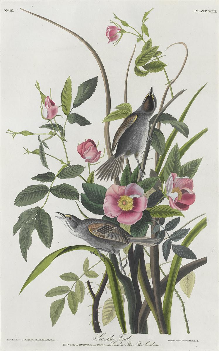 1959.0162.050 Print, View 2