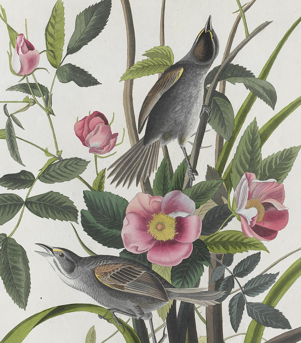 1959.0162.050 Print, Detail
