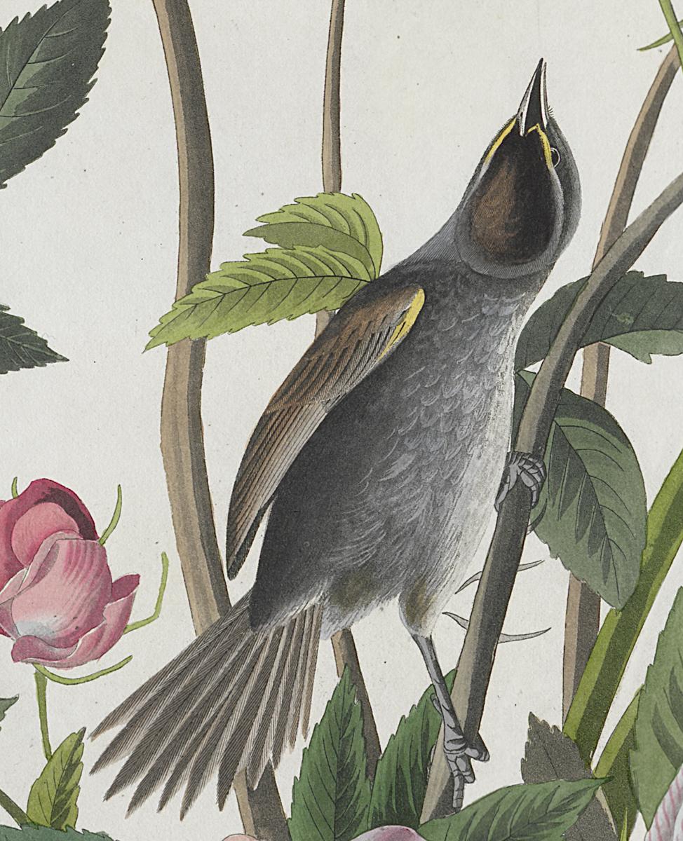 1959.0162.050 Print, Detail 2