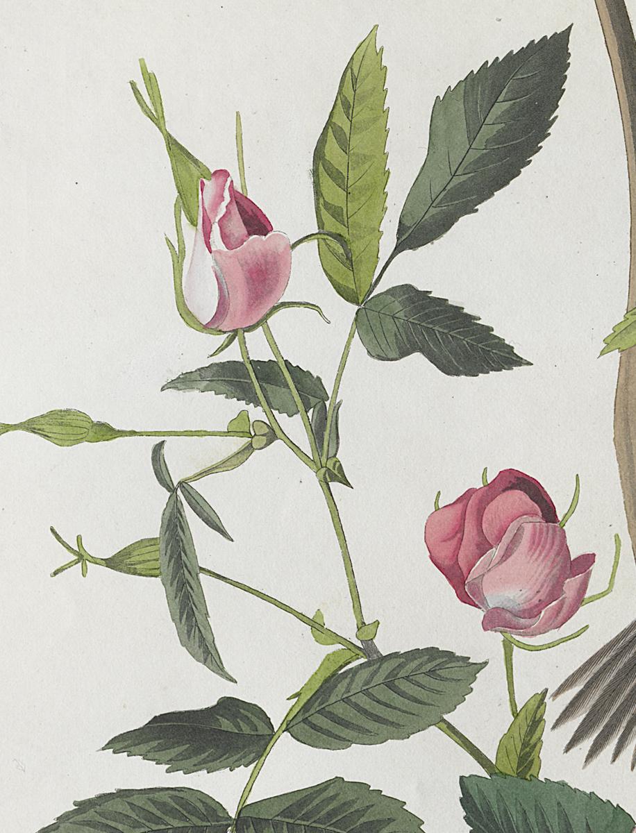 1959.0162.050 Print, Detail 4