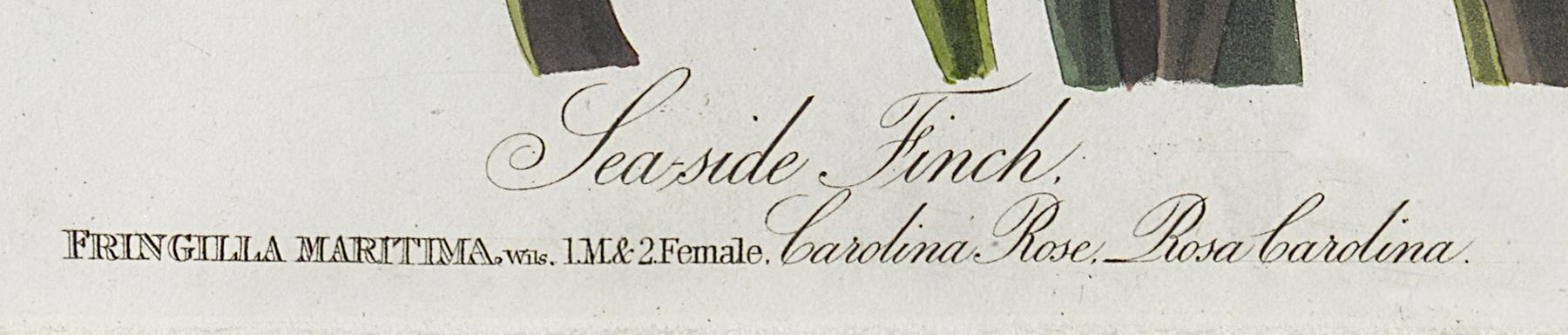 1959.0162.050 Print, Detail 5