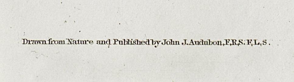 1959.0162.050 Print, Detail 6