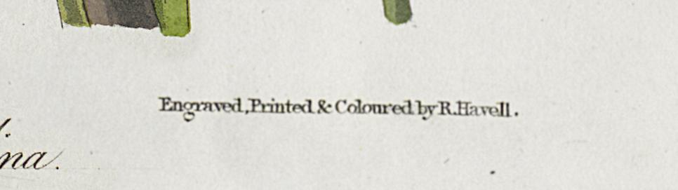 1959.0162.050 Print, Detail 7