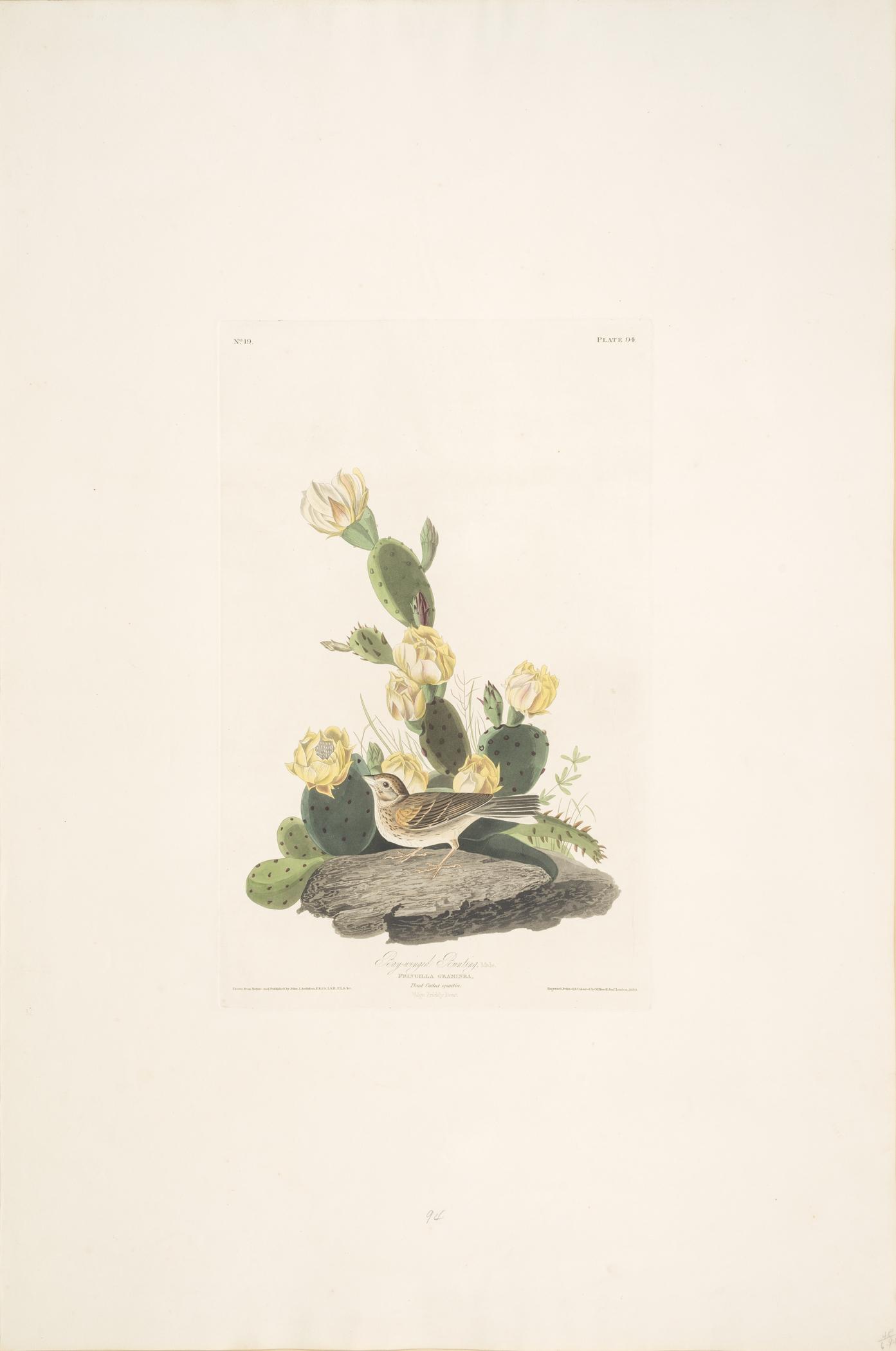 1959.0162.051 Print, view 1
