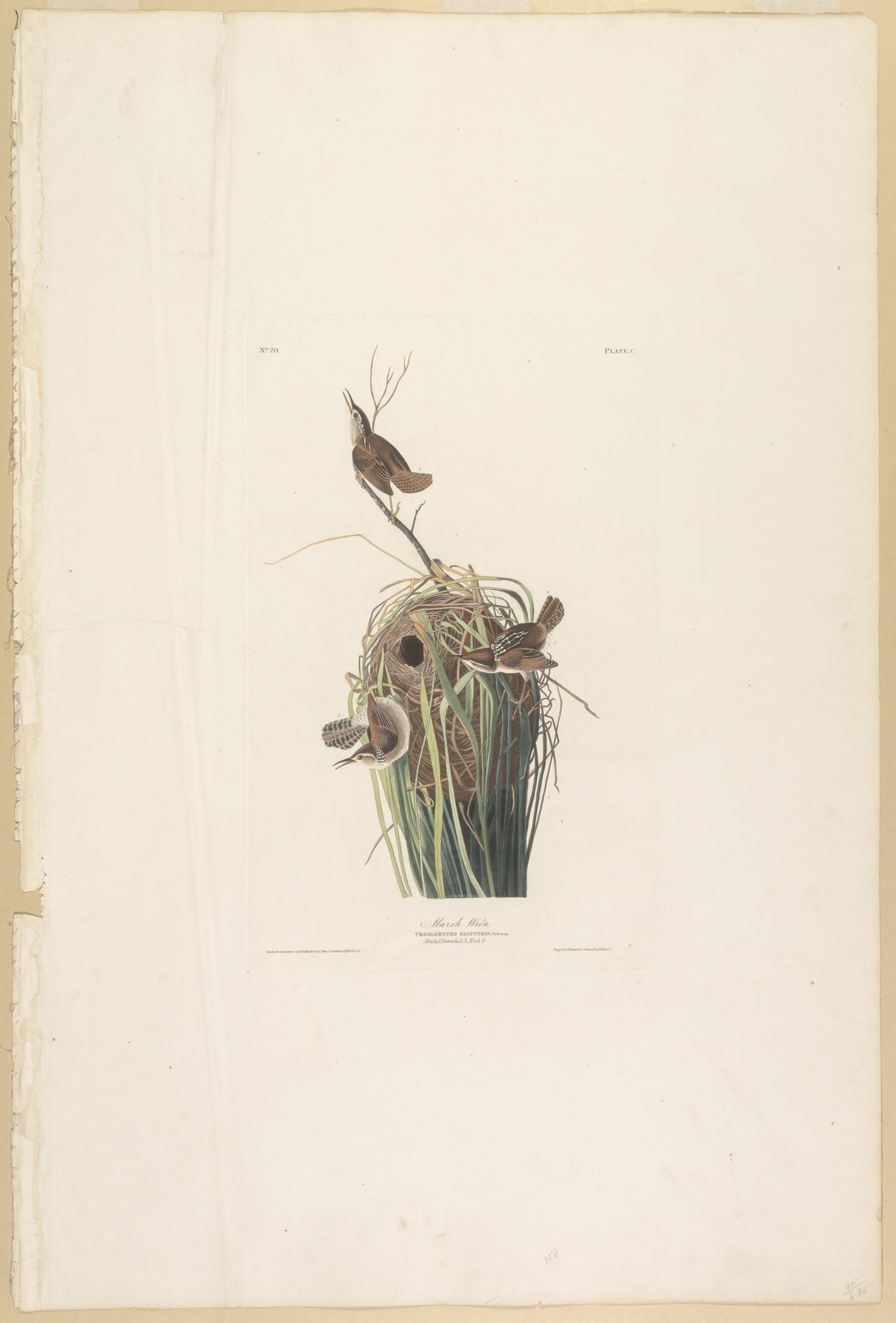 1959.0162.053 Print, view 1
