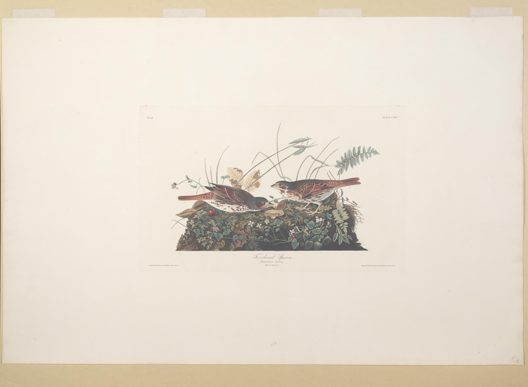 1959.0162.057 Print, view 1