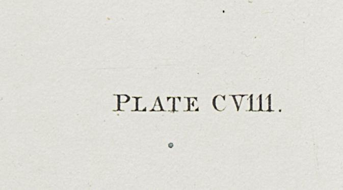 1959.0162.057 Print, Detail 9