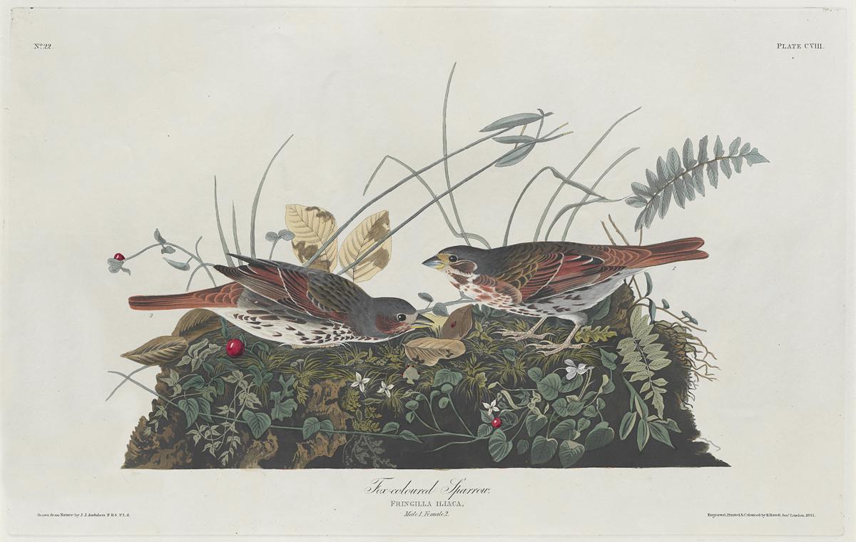 1959.0162.057 Print, View 2