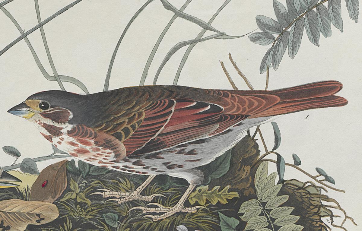 1959.0162.057 Print, Detail 3