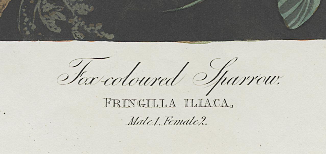 1959.0162.057 Print, Detail 5