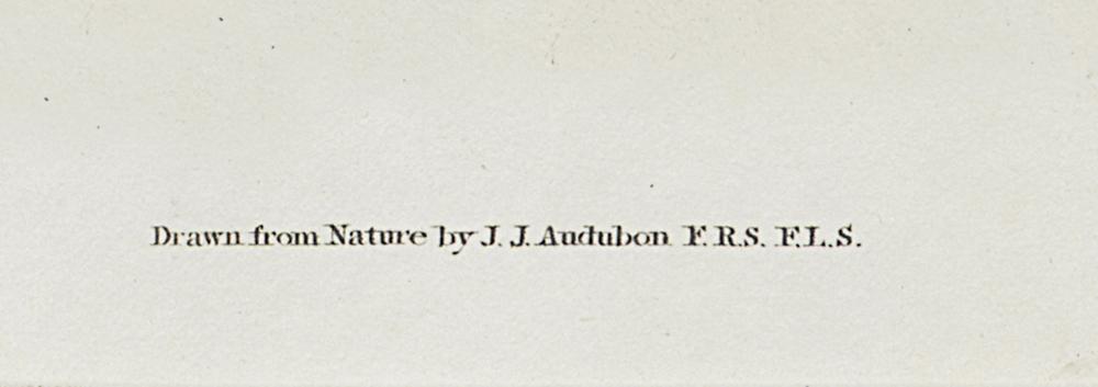 1959.0162.057 Print, Detail 6