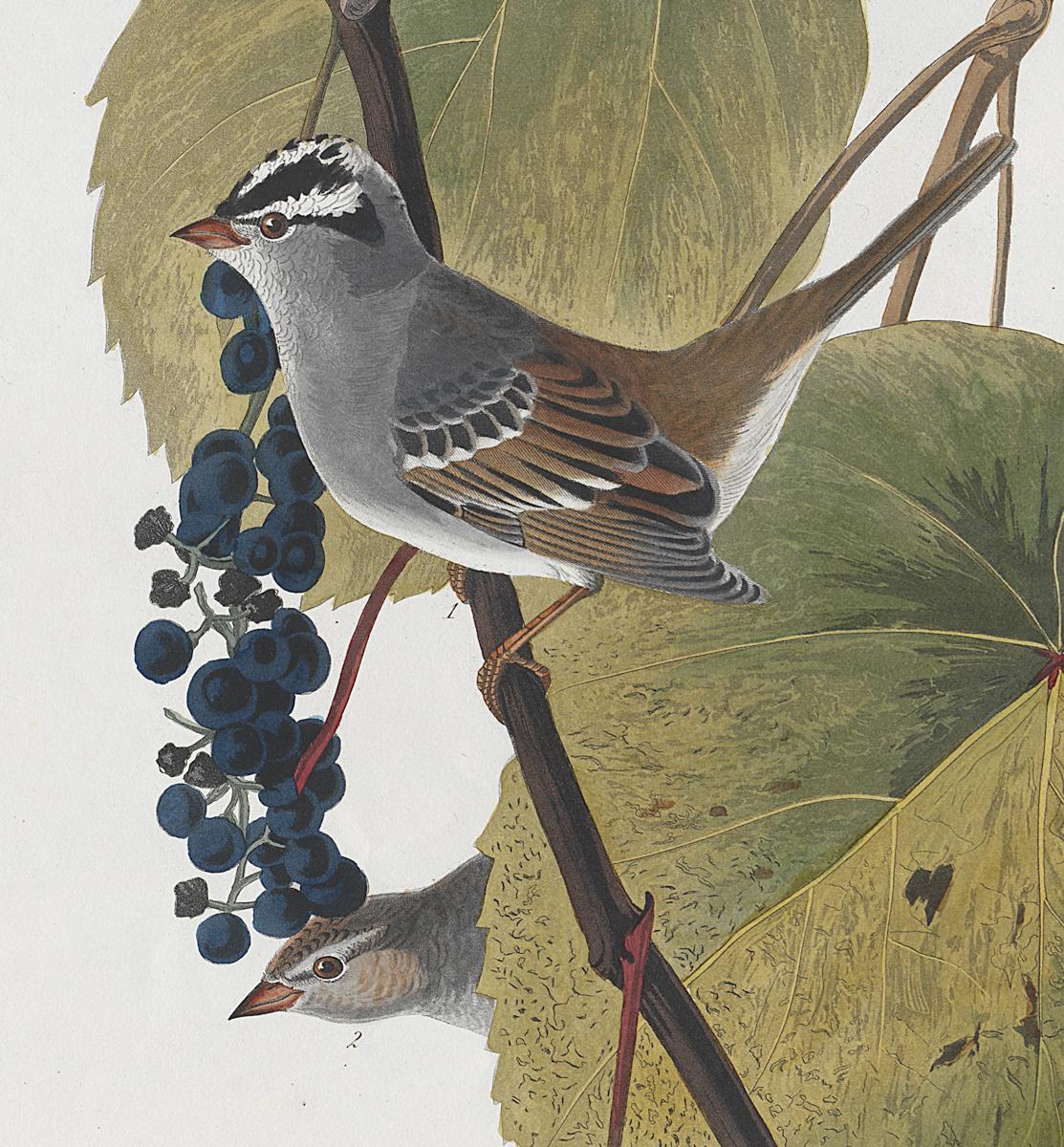 1959.0162.061 Print, Detail