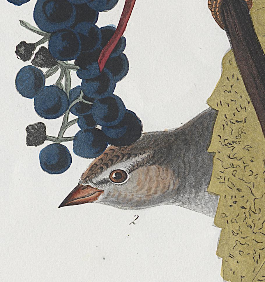 1959.0162.061 Print, Detail 3