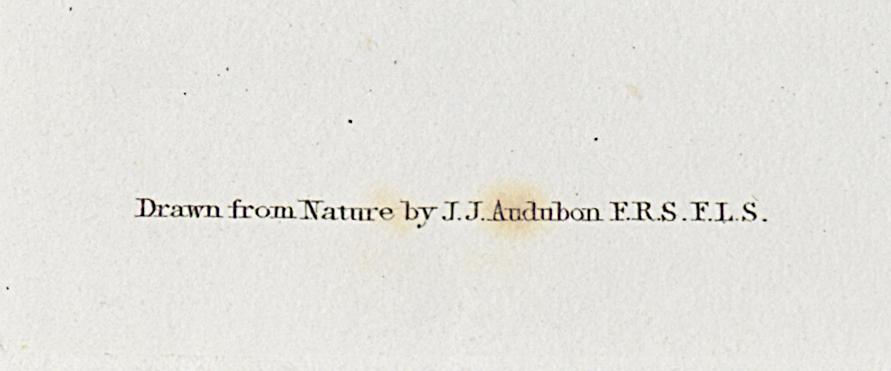 1959.0162.061 Print, Detail 5