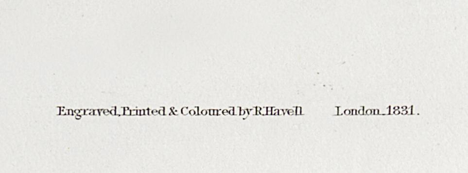 1959.0162.061 Print, Detail 6