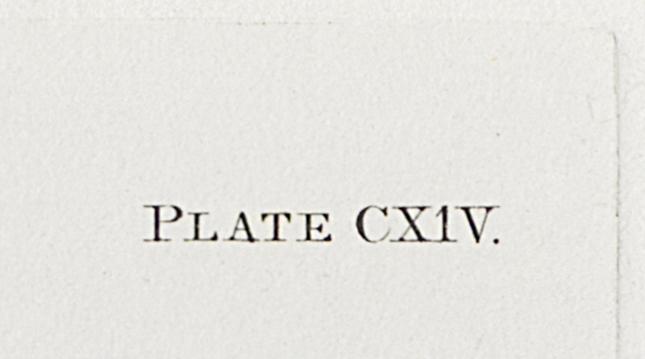1959.0162.061 Print, Detail 7