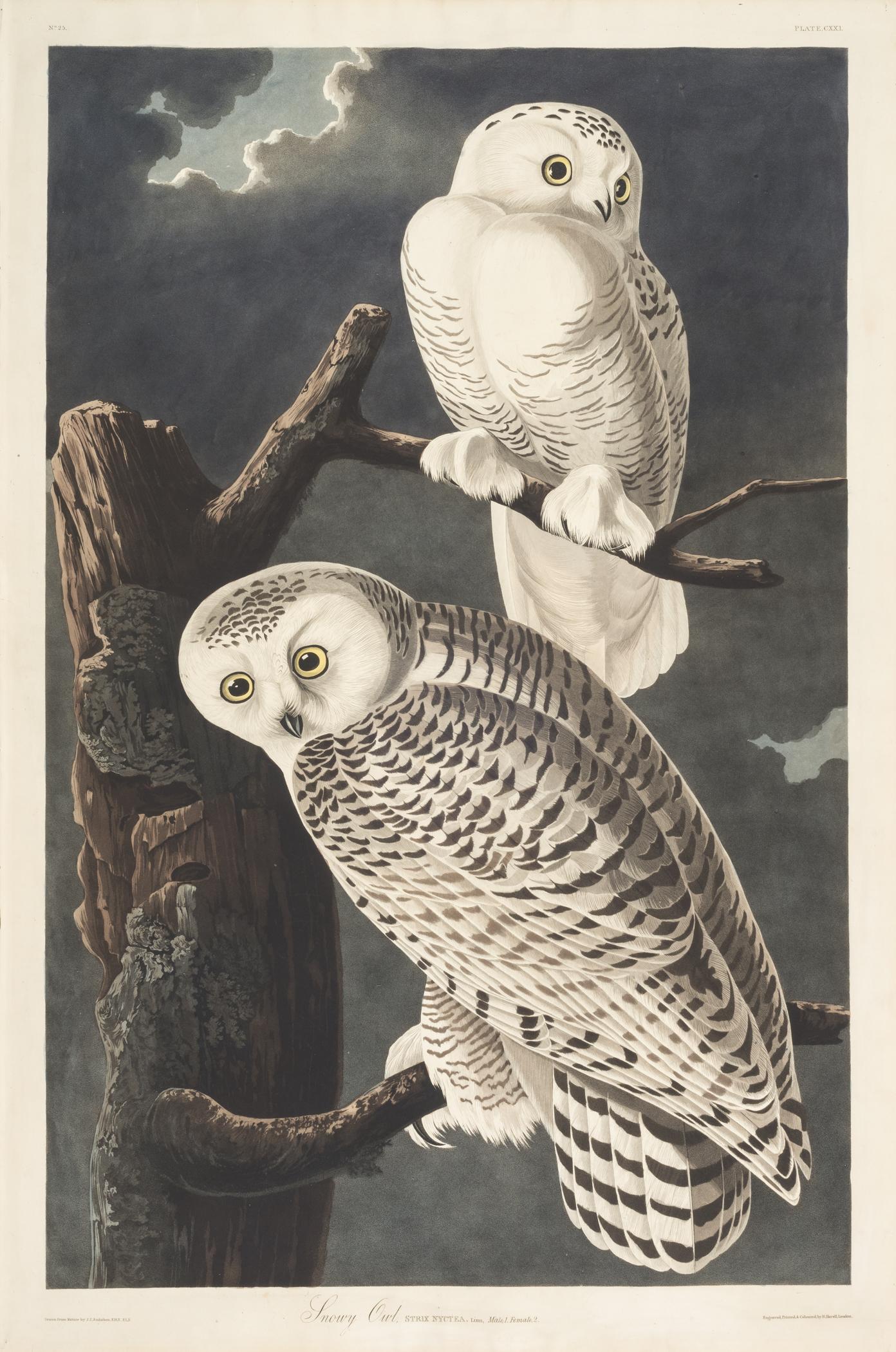 1959.0162.064 Print, view 1