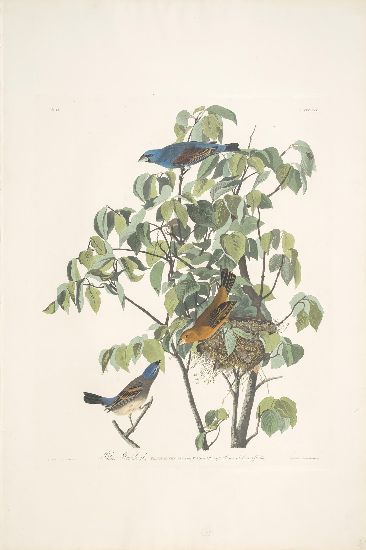1959.0162.065 Print, view 1