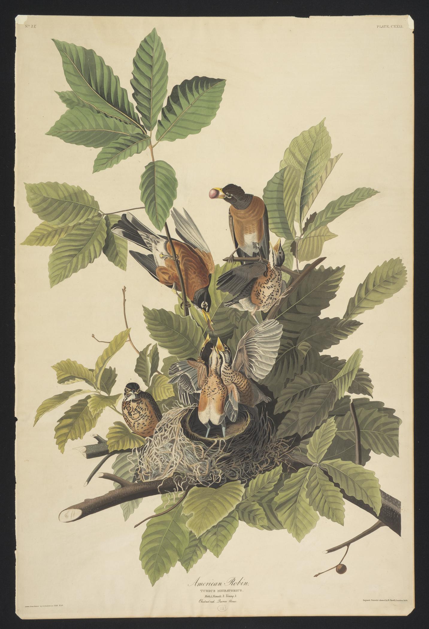 1959.0162.069 Print, view 1