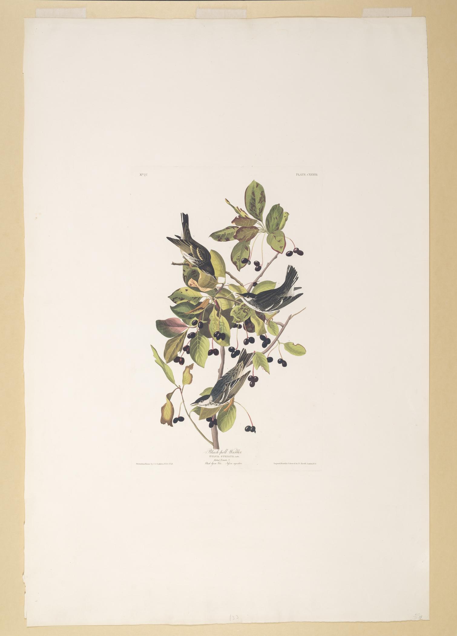 1959.0162.070 Print, view 1