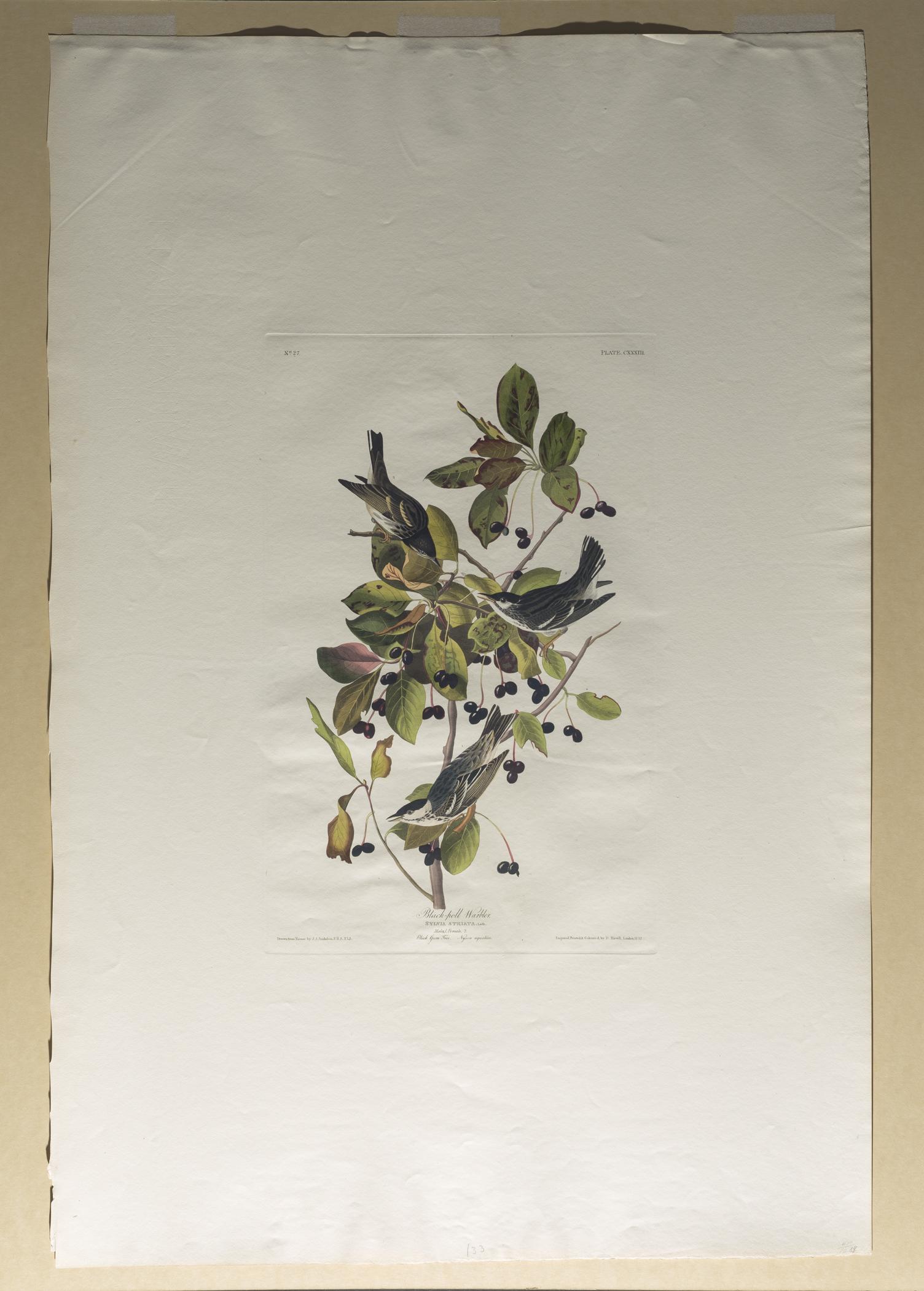 1959.0162.070 Print, view 2, raking light