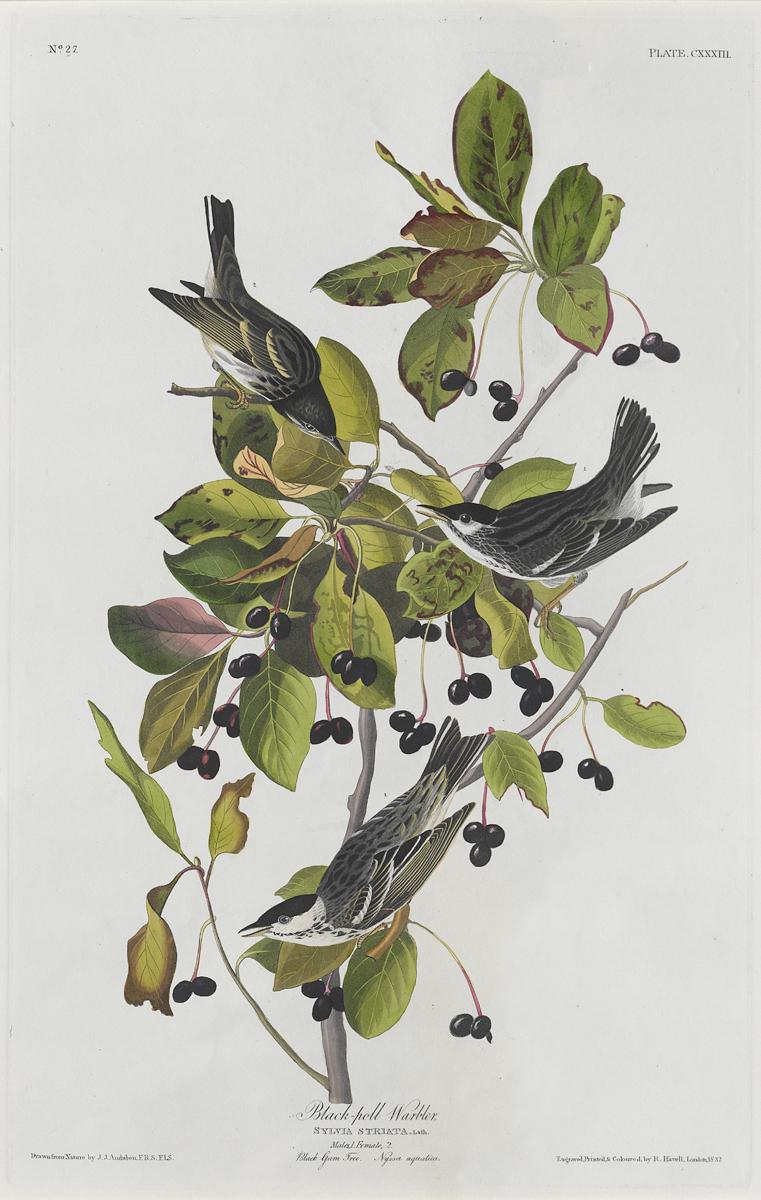 1959.0162.070 Print, View 2