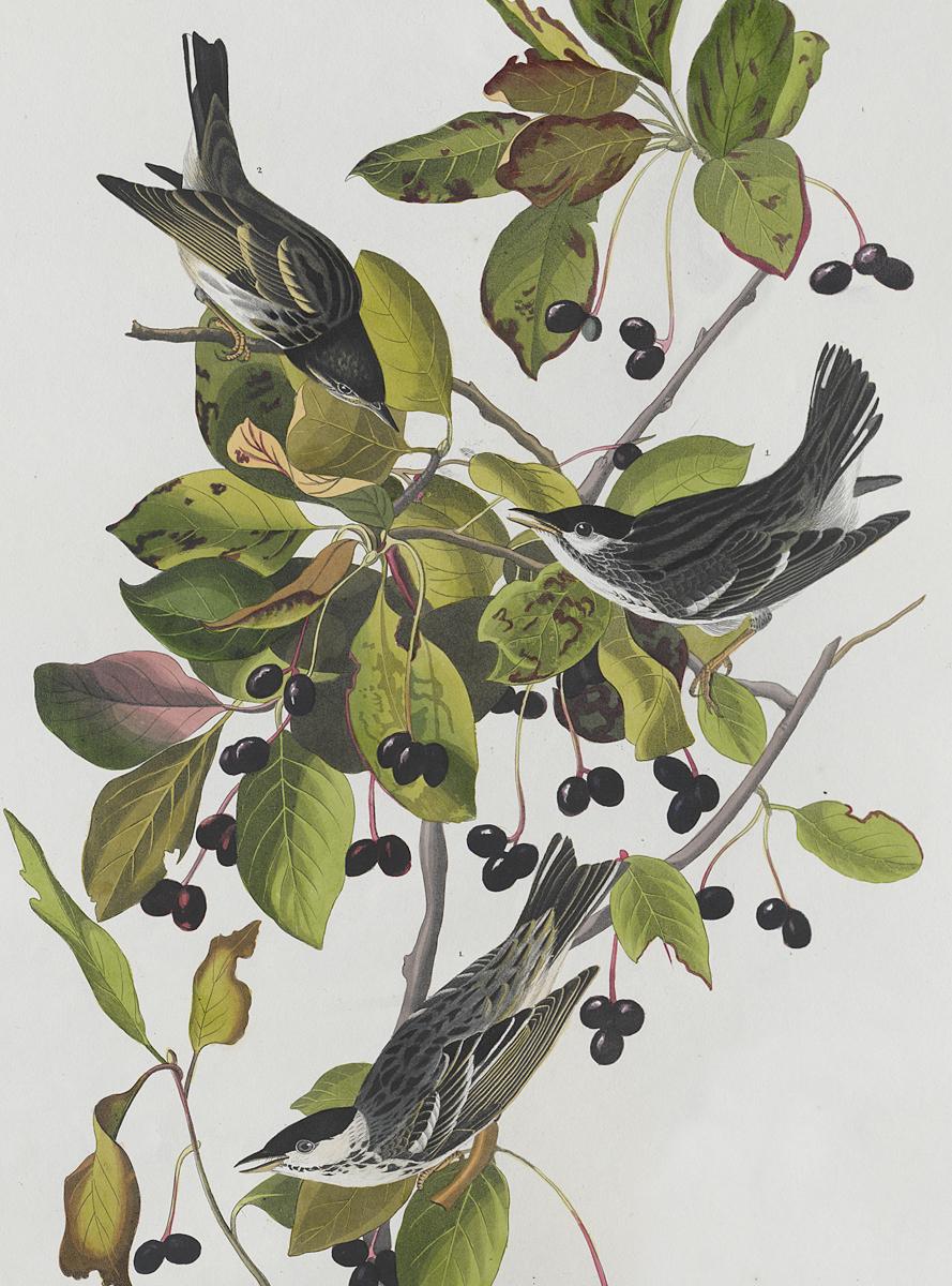 1959.0162.070 Print, Detail