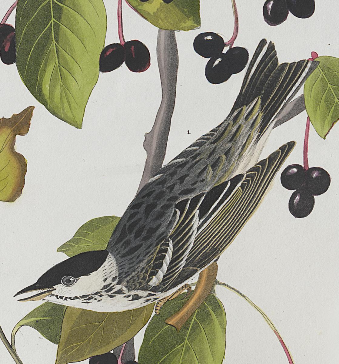 1959.0162.070 Print, Detail 2