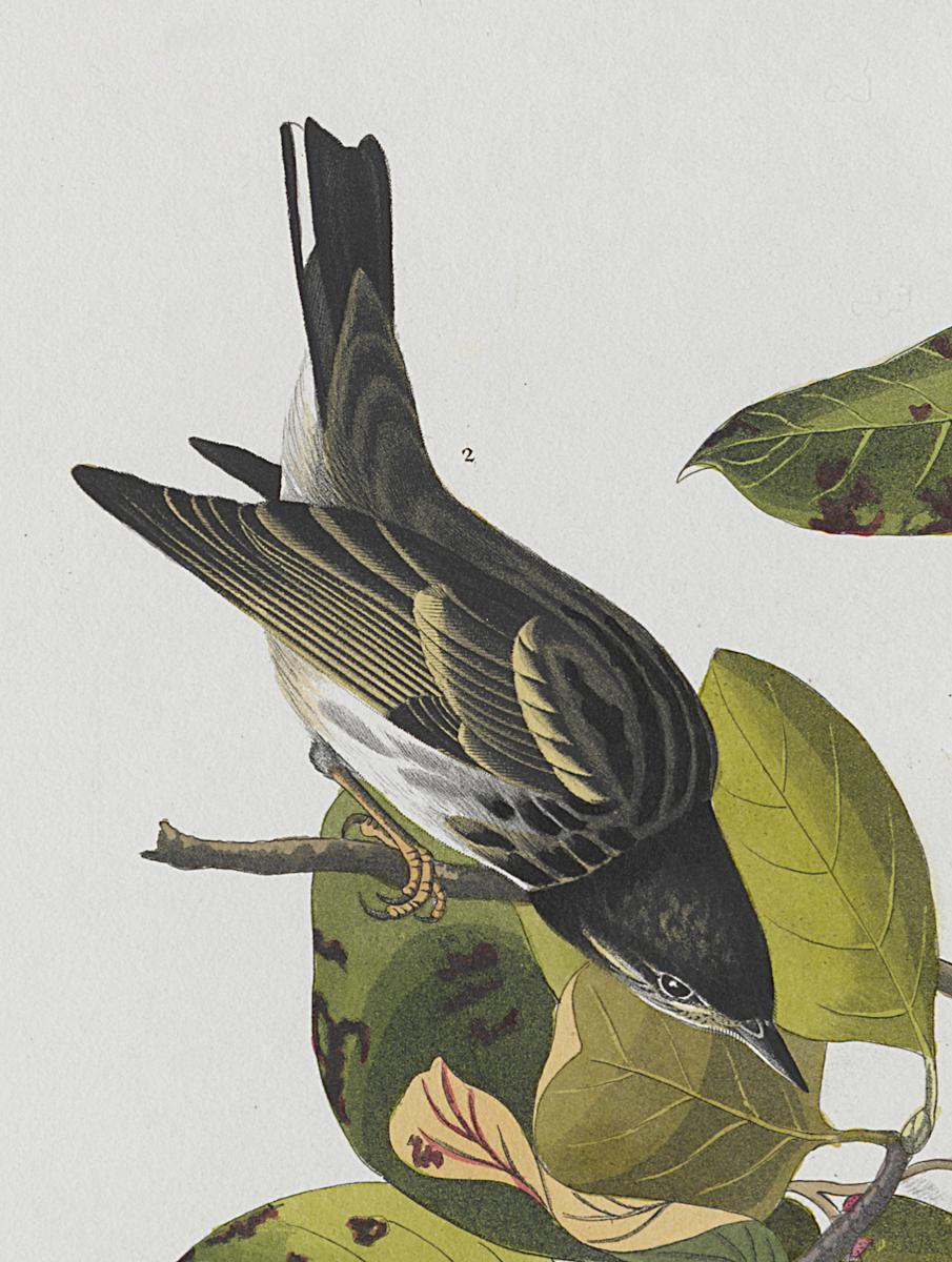 1959.0162.070 Print, Detail 3