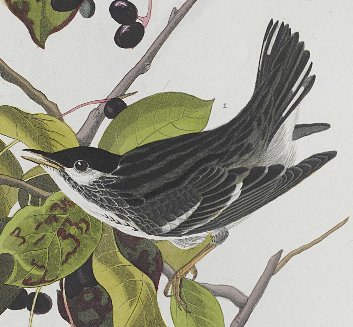 1959.0162.070 Print, Detail 4