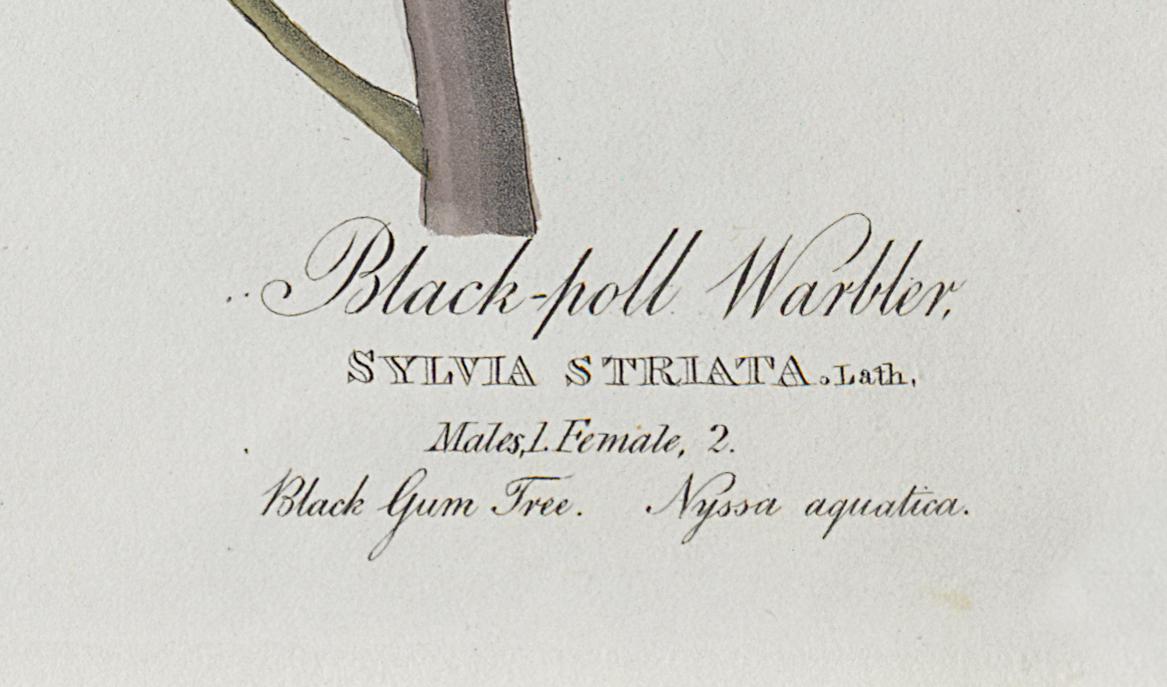 1959.0162.070 Print, Detail 5