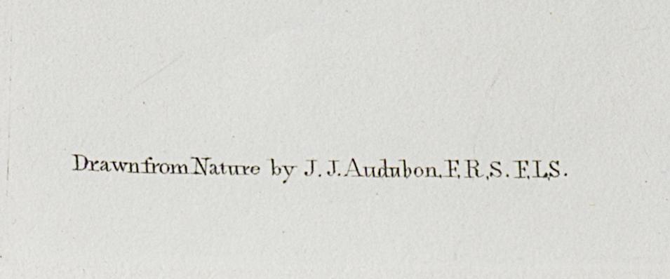 1959.0162.070 Print, Detail 6