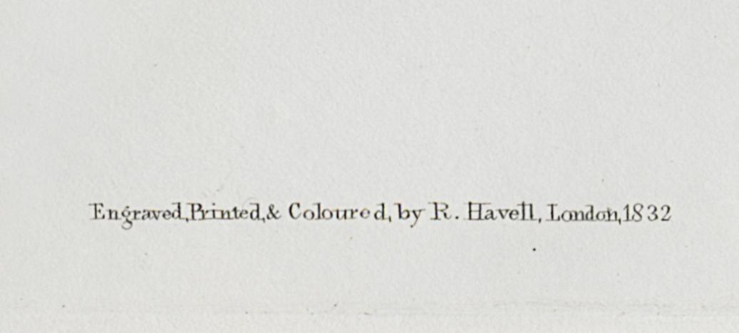 1959.0162.070 Print, Detail 7