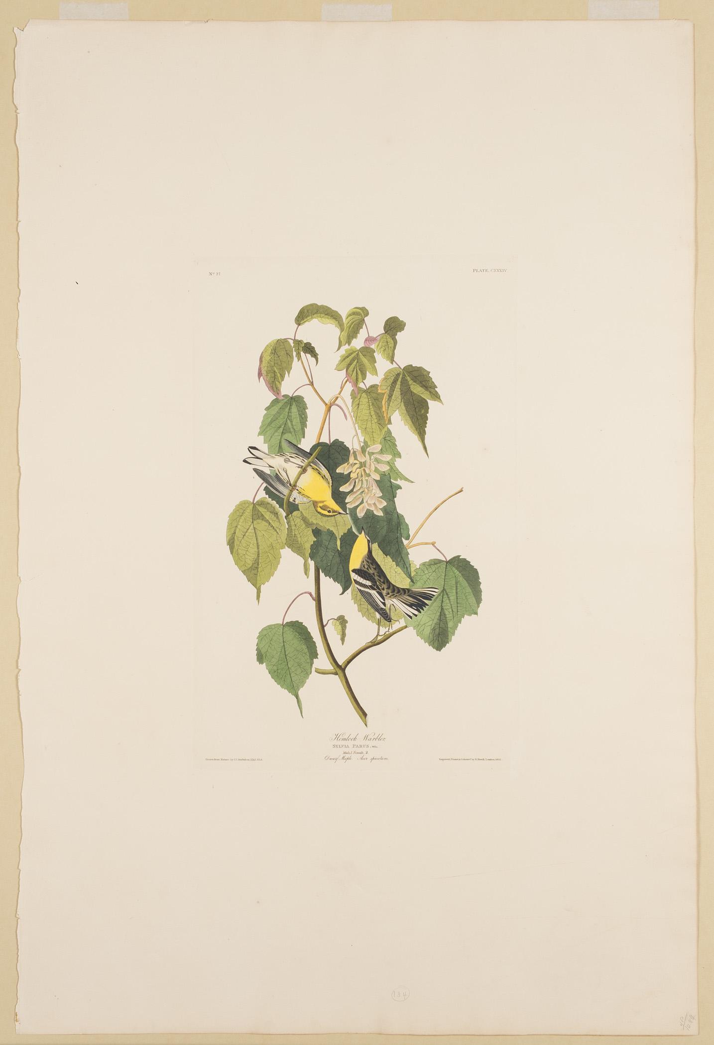 1959.0162.071 Print, view 1