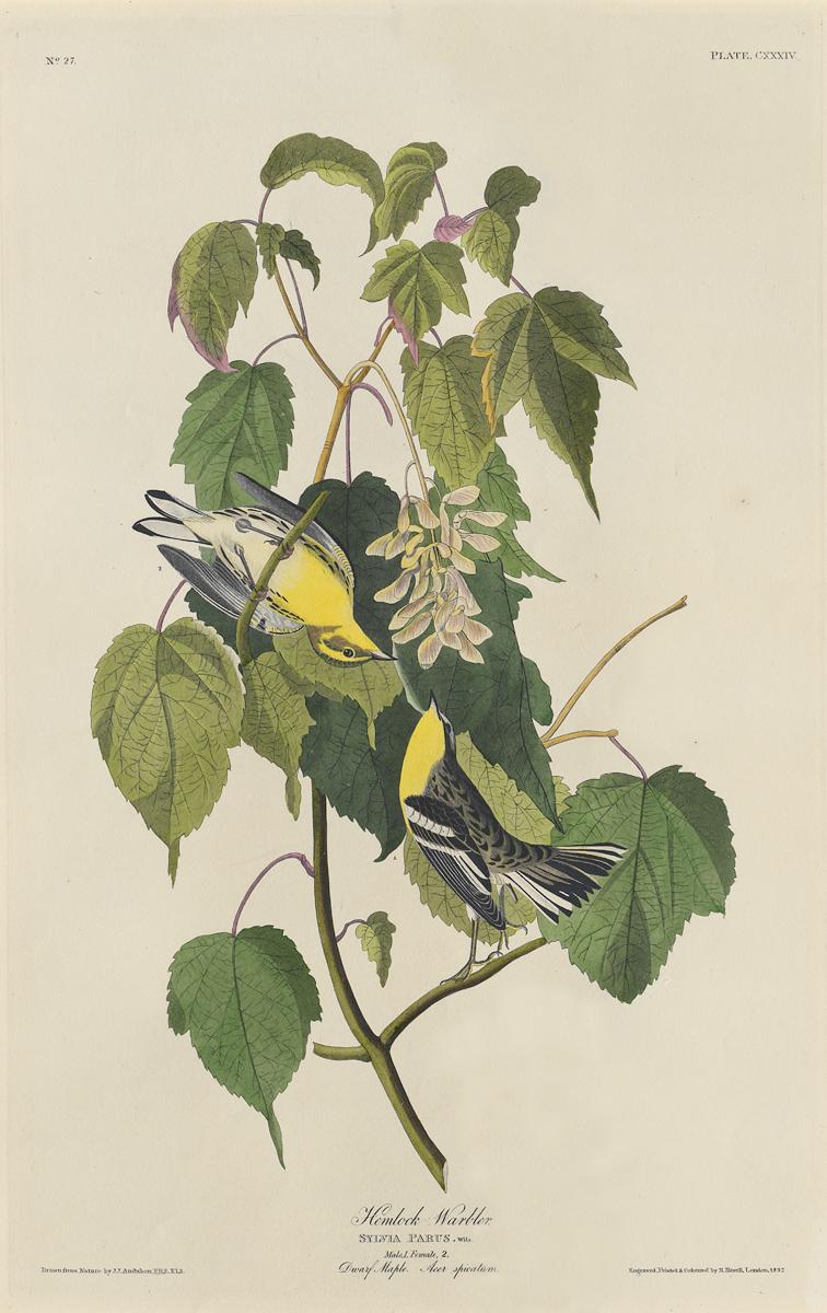 1959.0162.071 Print, View 2