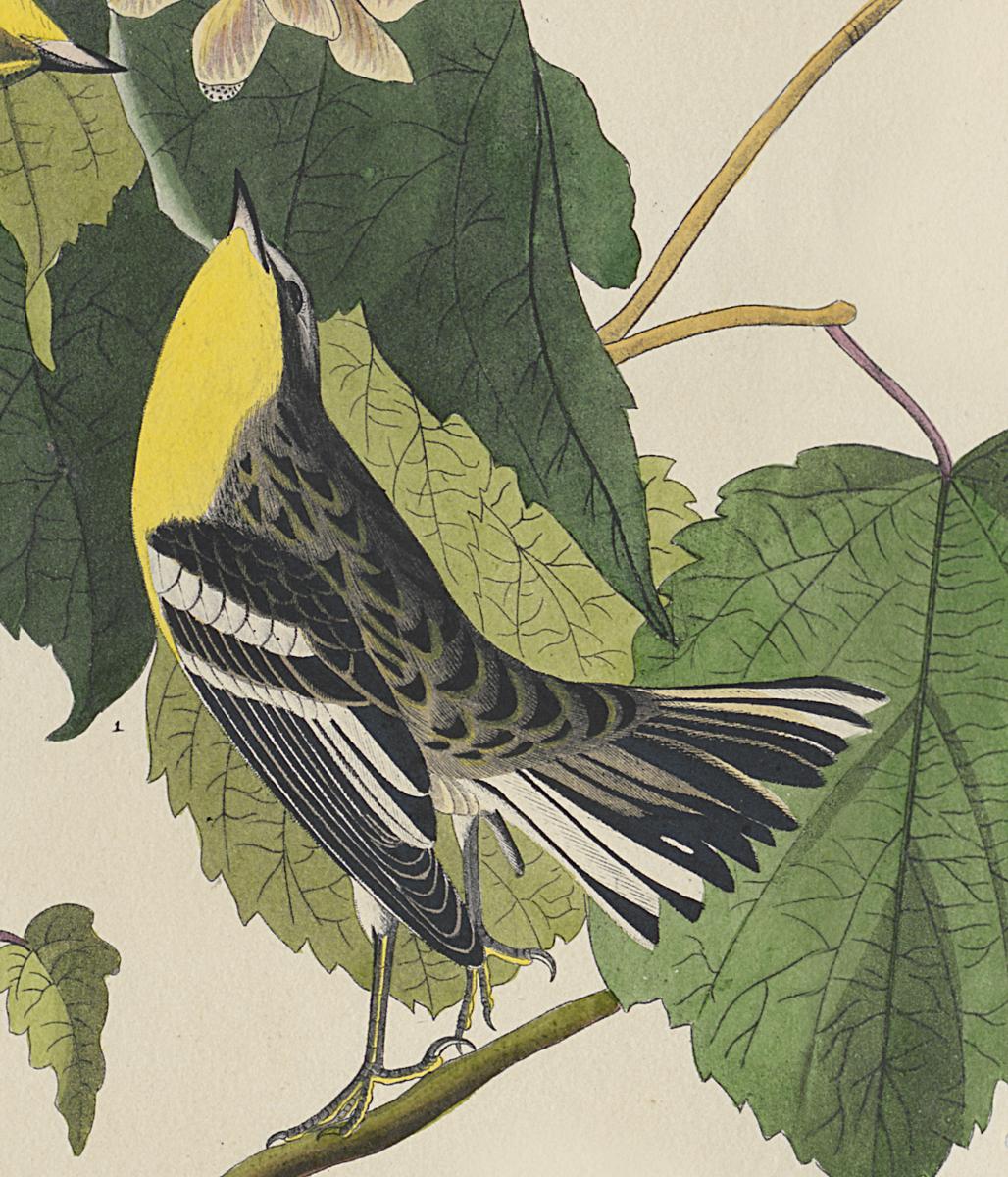 1959.0162.071 Print, Detail 2