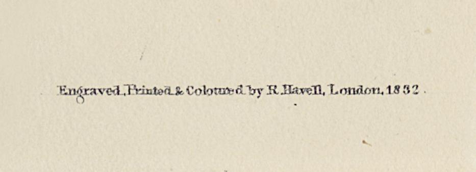 1959.0162.071 Print, Detail 7