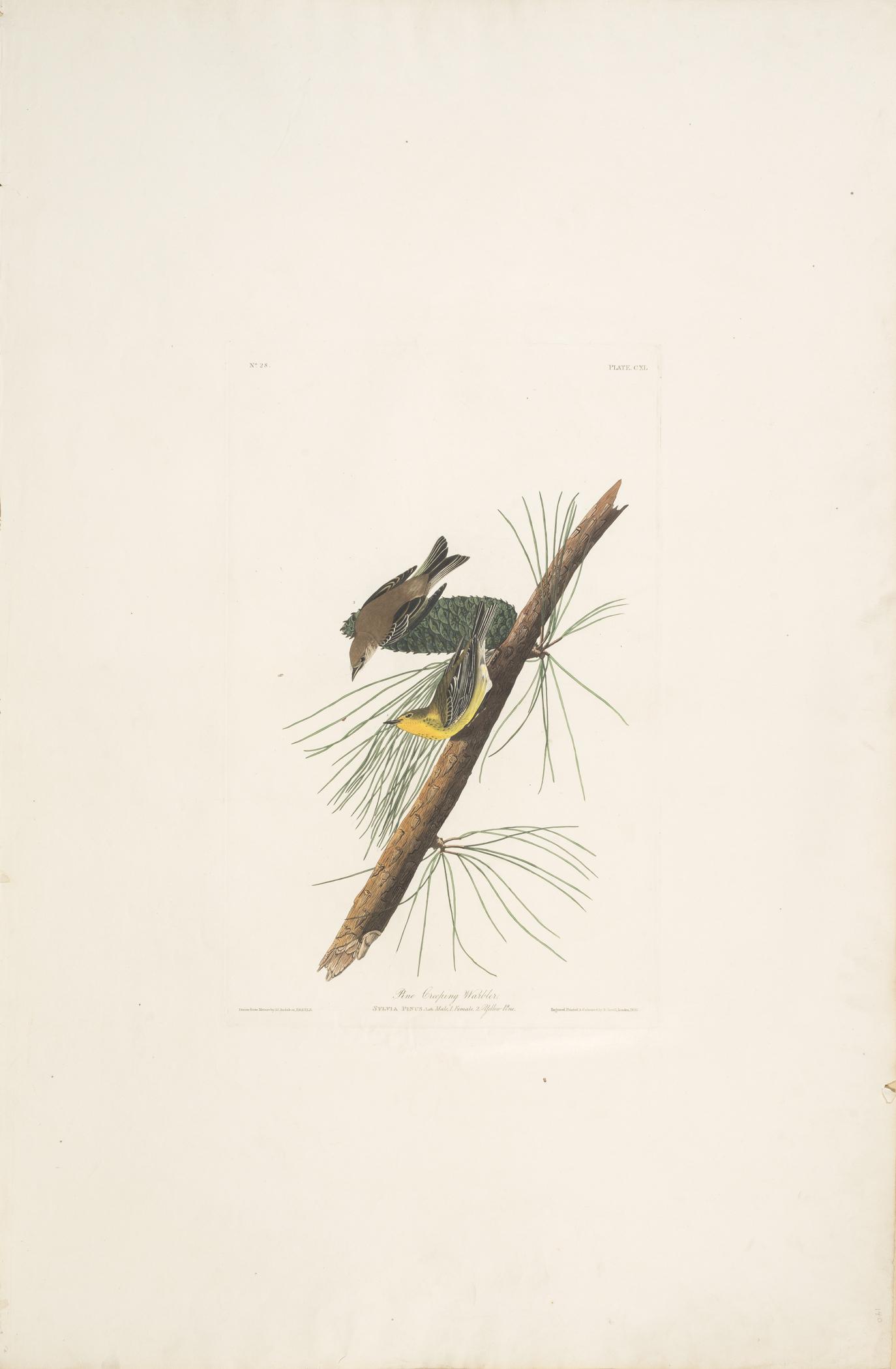 1959.0162.072 Print, view 1