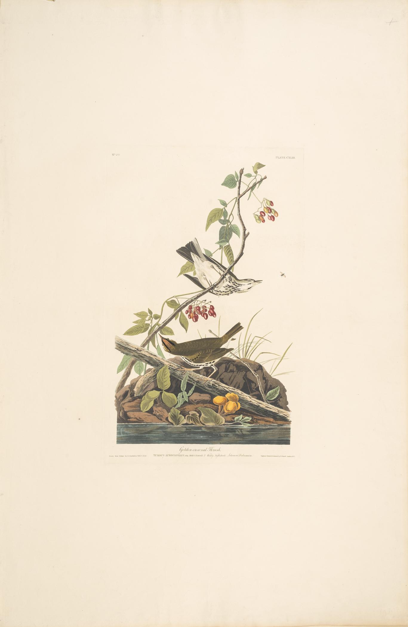 1959.0162.074 Print, view 1
