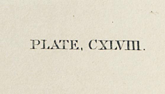 1959.0162.075 Print, Detail 8