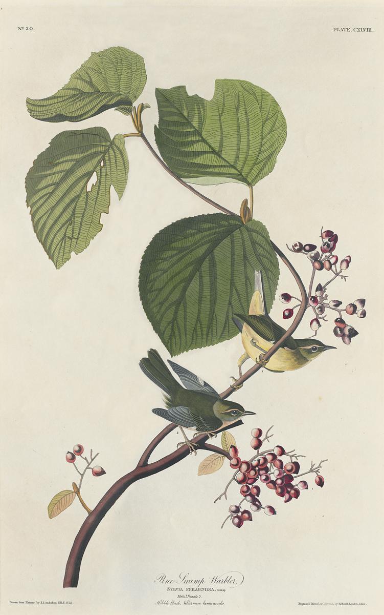 1959.0162.075 Print, View 2