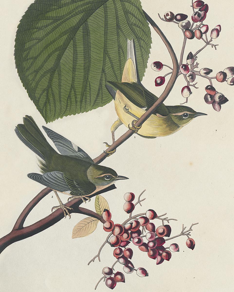 1959.0162.075 Print, Detail