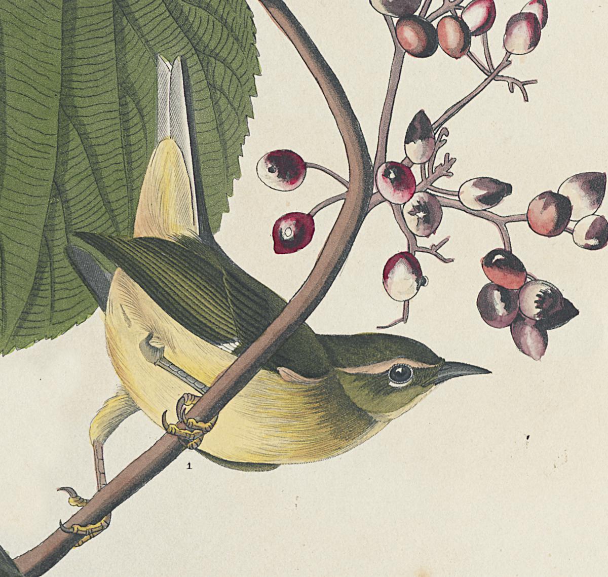 1959.0162.075 Print, Detail 2