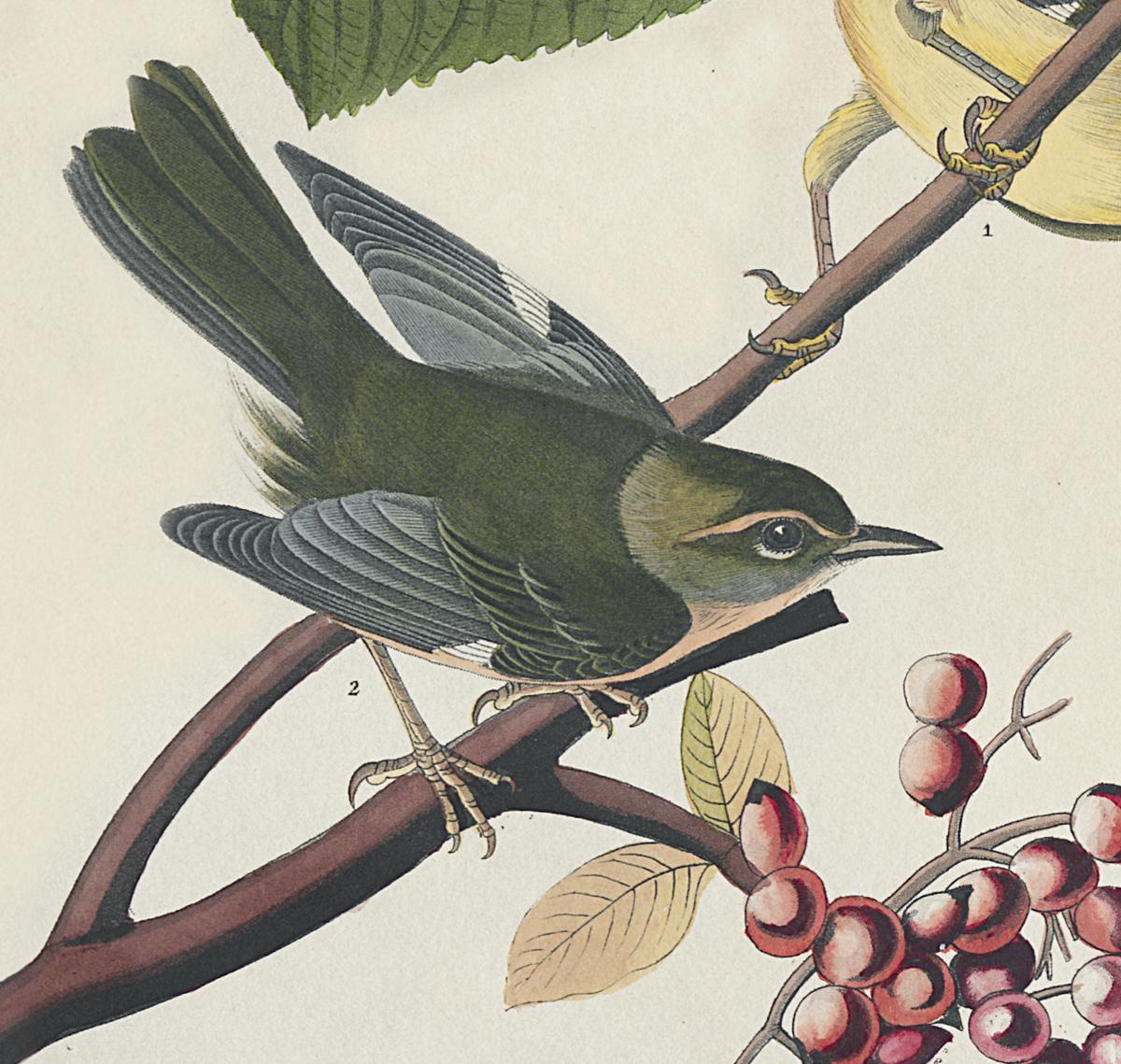 1959.0162.075 Print, Detail 3
