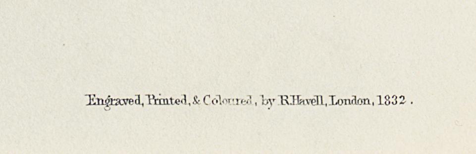 1959.0162.075 Print, Detail 7